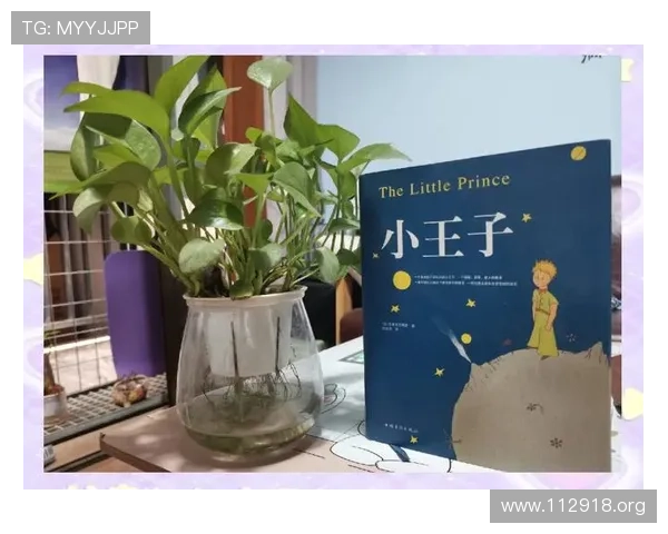 感受纯真与梦想：《小王子》电影的深刻魅力